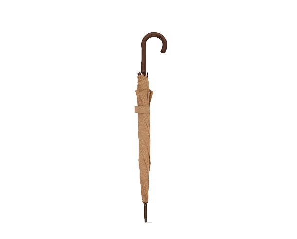 image descrption
