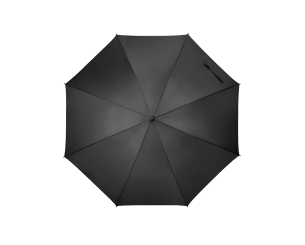 image descrption