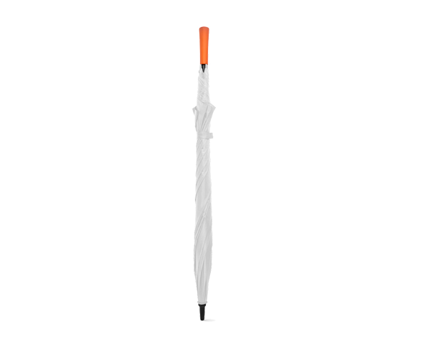 image descrption
